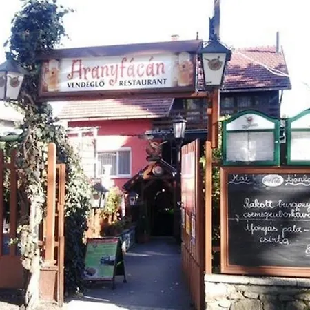 Panorama Uduloszallo Sopron